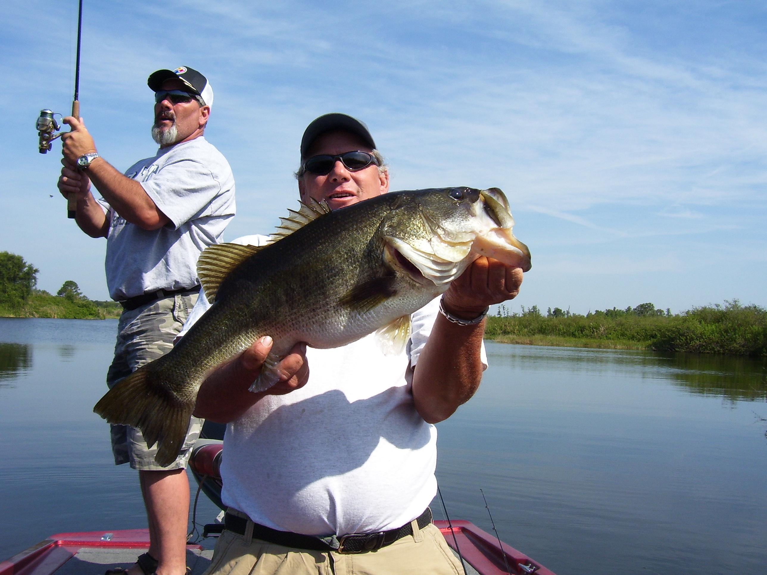 how to catch tropyt bass in florida everglades fishing planet